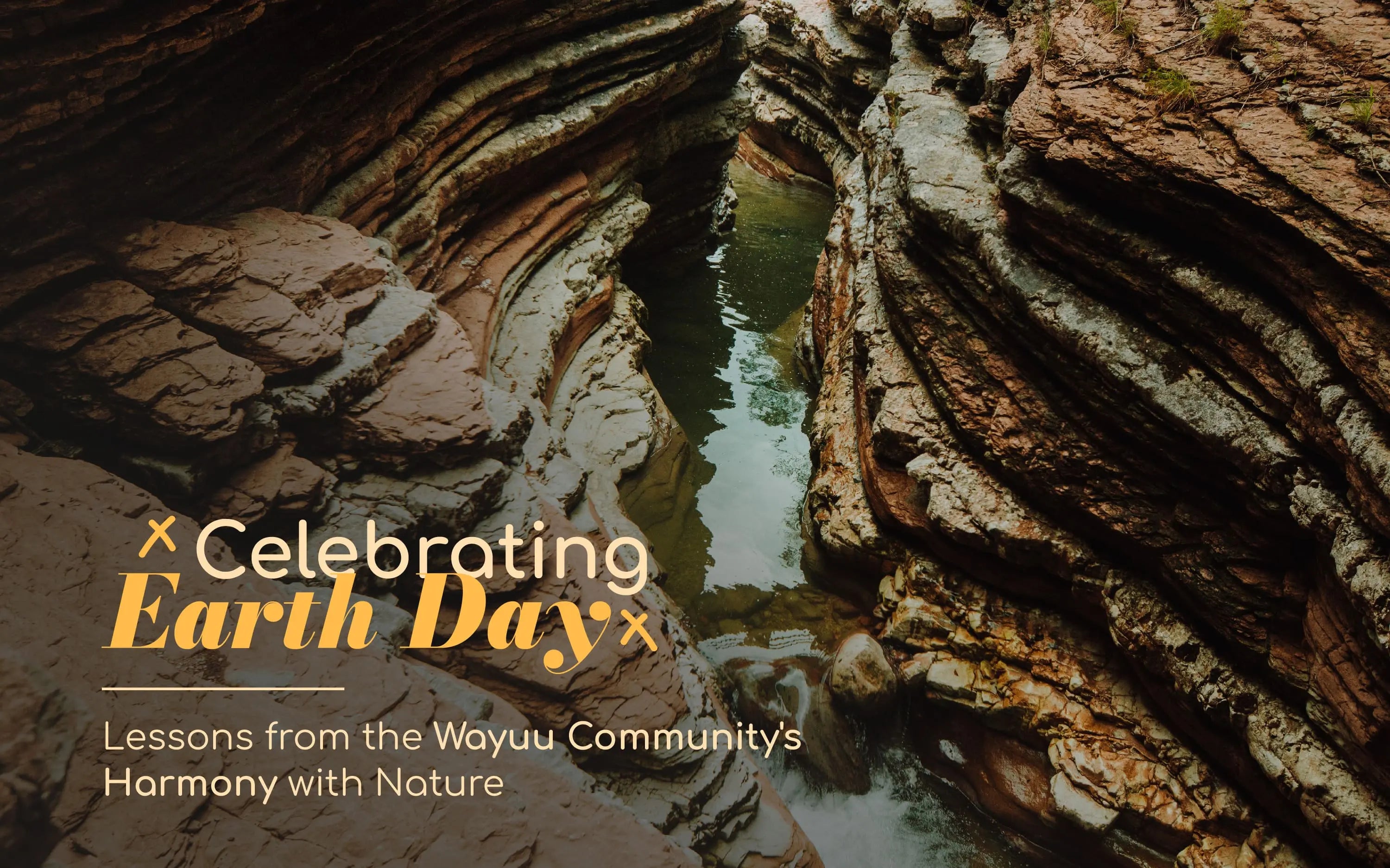 Celebrating Earth Day: Lessons from the Wayuu Community's Harmony with Nature