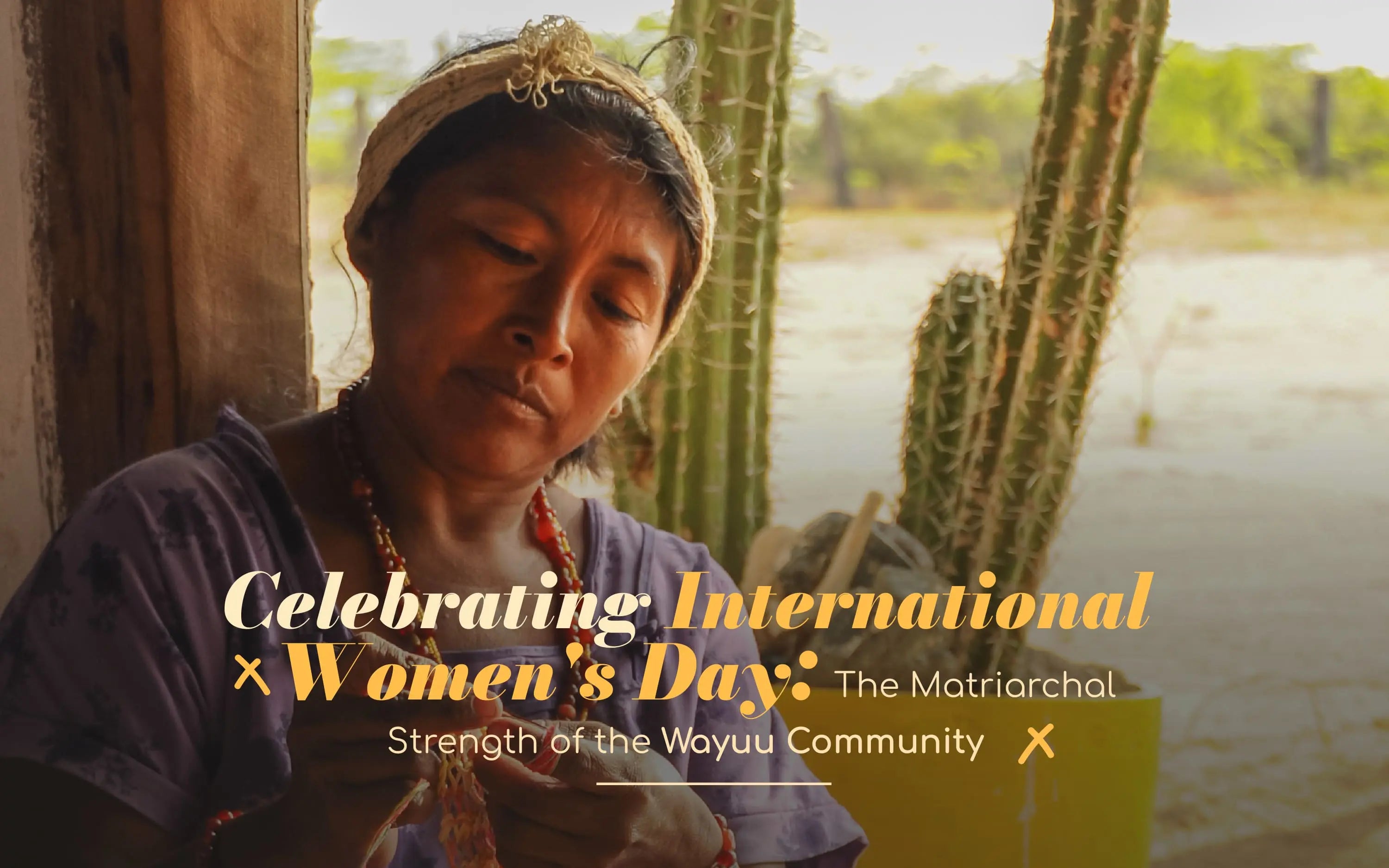 Celebrating International Women's Day: The Matriarchal Strength of the Wayuu Community
