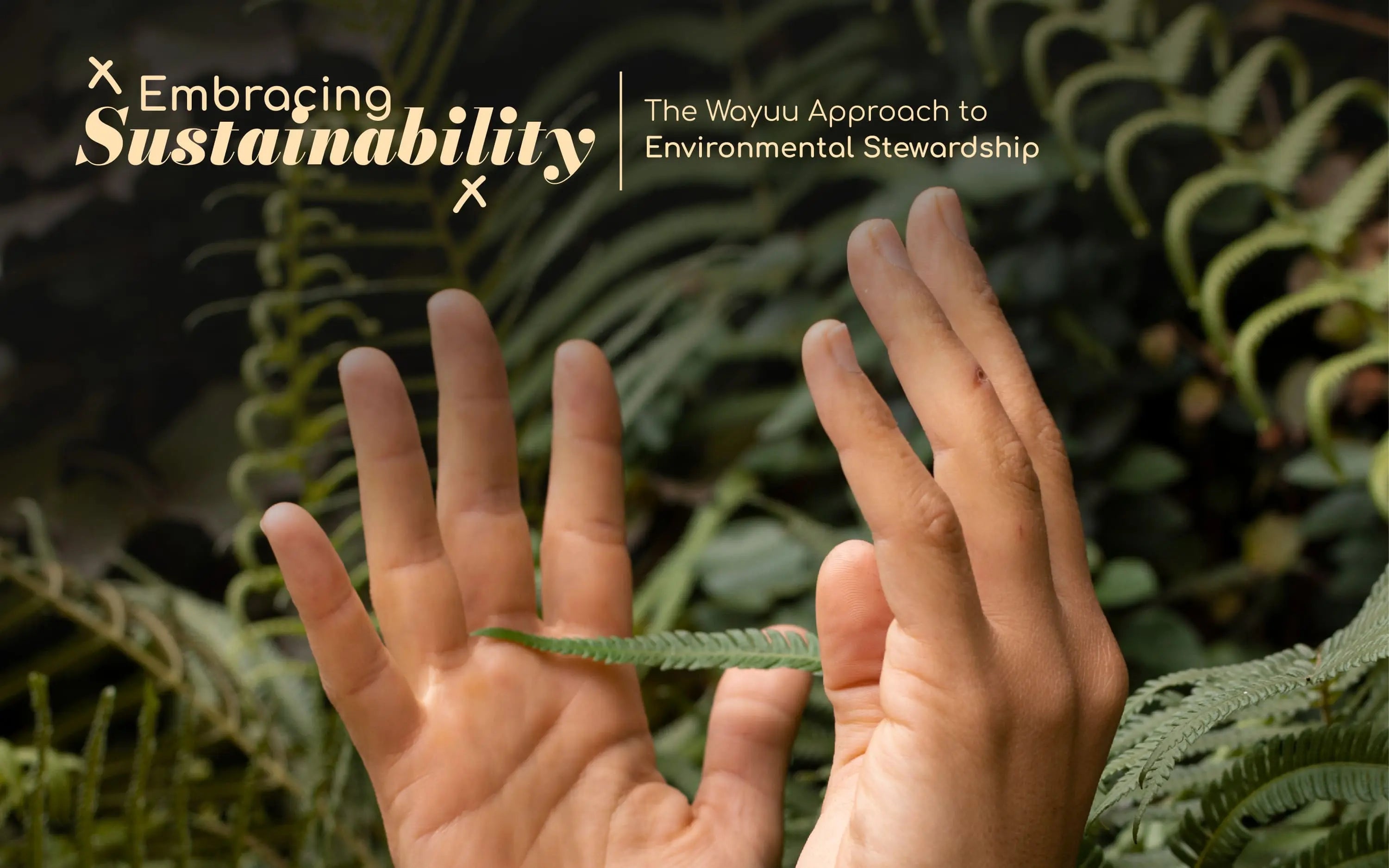 Embracing Sustainability: The Wayuu Approach to Environmental Stewardship